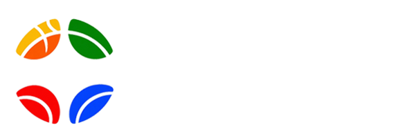 西瓜看球